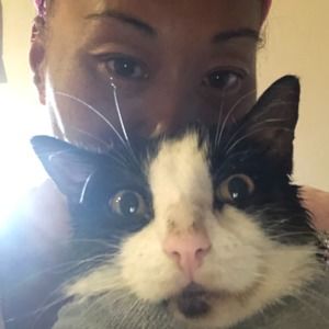 Meet your Posher, Royal